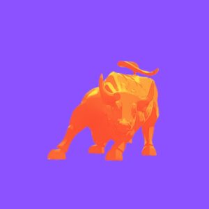 The Bull Market NFT